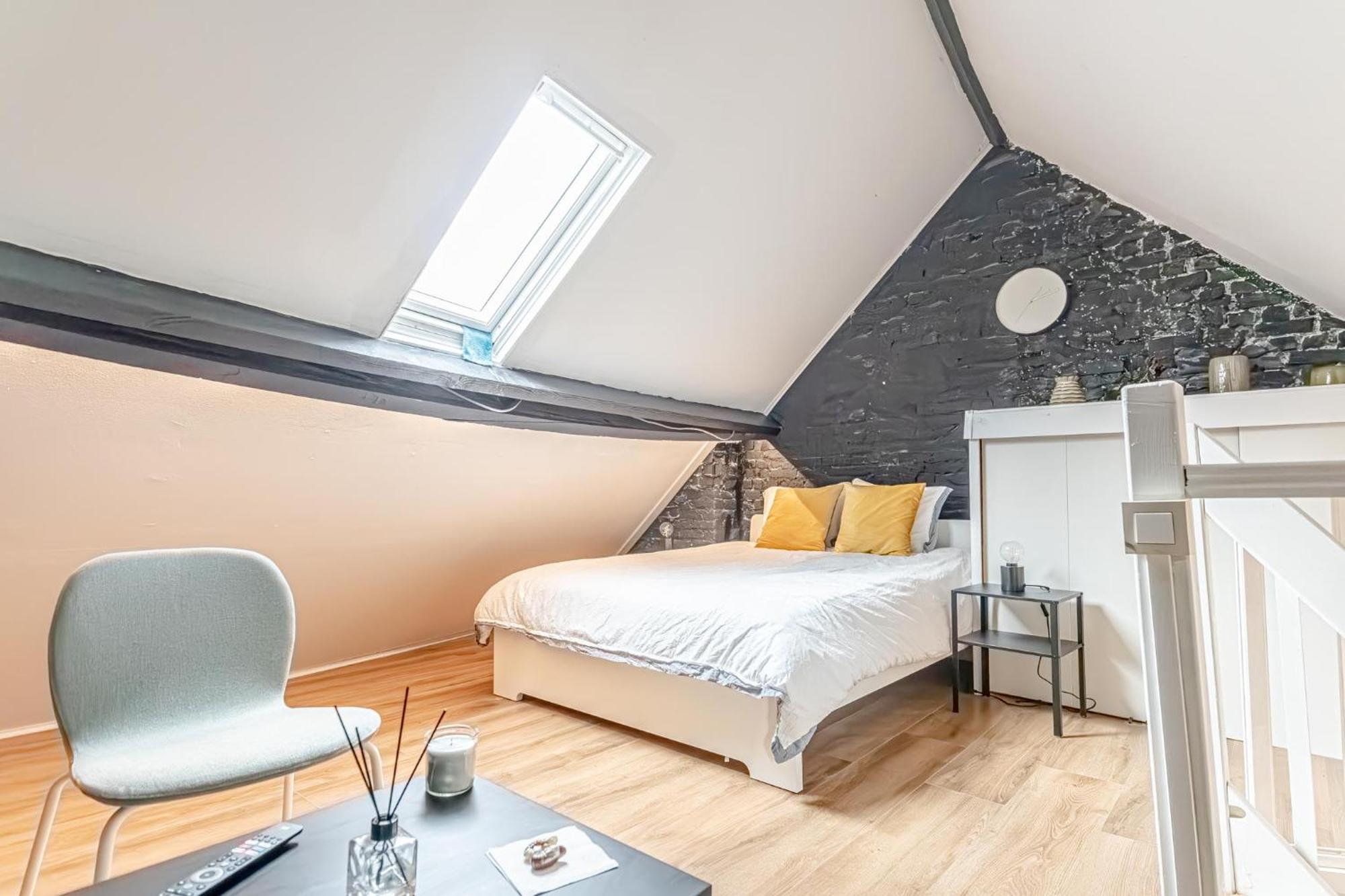 Spacious Shared 5Br Apt In The Heart Of Gent Экстерьер фото
